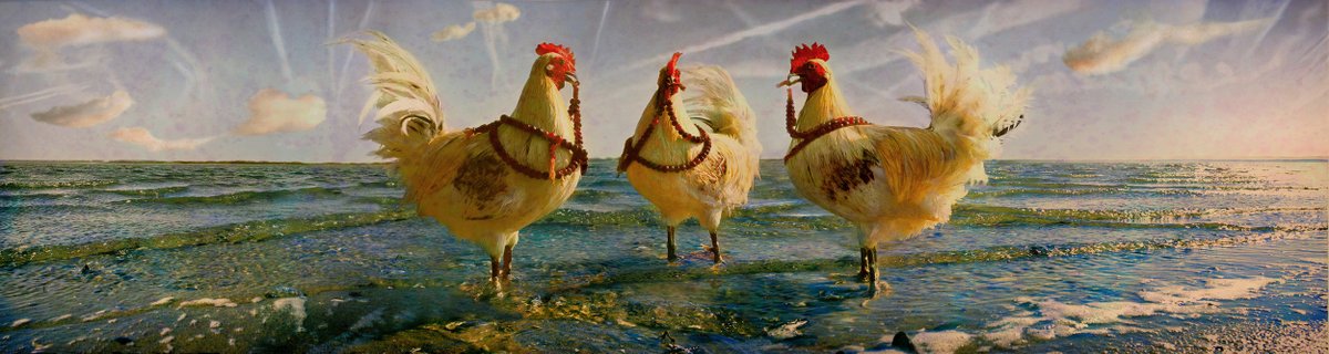 DoppelHouse's tweet photo. It's time for our wrap up event in the Art, Hoax, and Provocation Artist Talk Series with Nicholas Kahn and Richard Selesnick, Wednesday May 18th 12pm PT 
Come learn about their fictitious histories, documentary-style photographs and elaborate artifacts 
- https://t.co/amU7JyPrFi https://t.co/yYhYvoHH4n