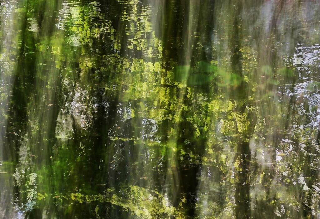 GhostsGavin's tweet photo. Reflections: spring leaves on deep canal.
#reflectionsonwater #icm #icmphotography #layeredphotography #springlight #springleaves https://t.co/Vv8I1vtFjw