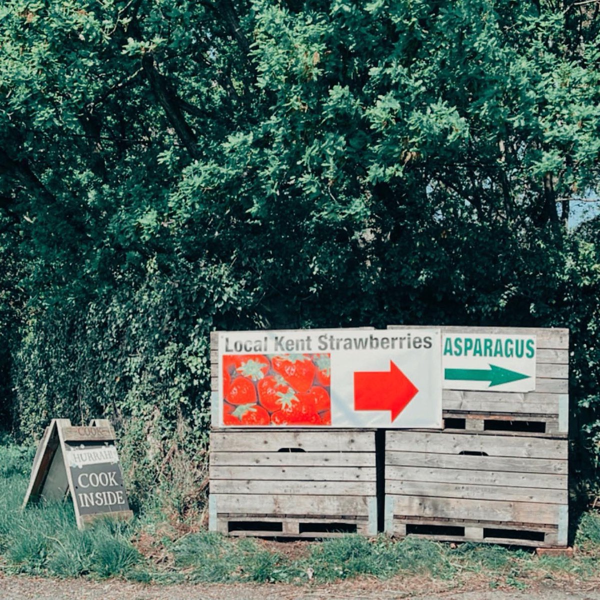 NFarmShop's tweet photo. Celebrate strawberry and asparagus season with the very best of locally grown produce sold right here at Nightingale Farm Shop.

We’re open seven days a week, come and find us on the Appledore Road. 
.
.
#kentproduce #kentbusiness #seasonalfood #fieldtofork #farmtotable https://t.co/yCarfouVso