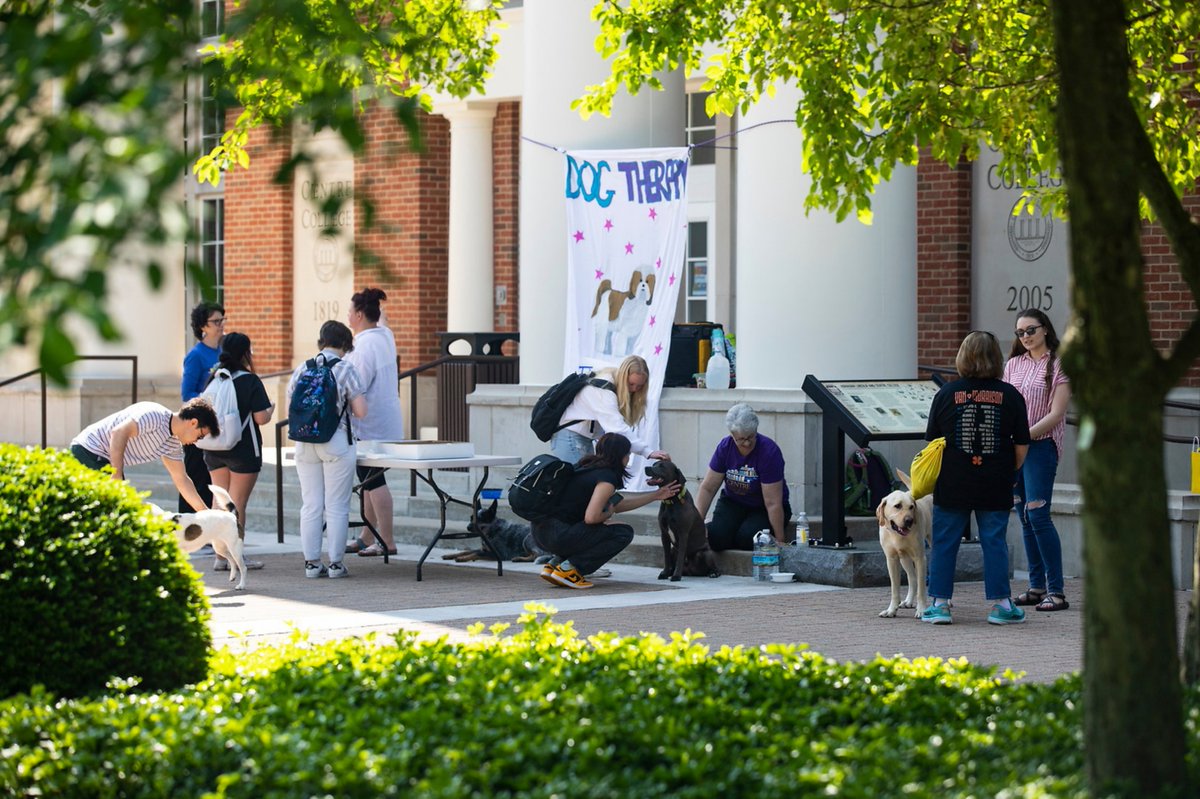 CentreC's tweet photo. What better stress relief on the first day of #finalsweek  than a #dogtherapy session? https://t.co/mWlTGO2bep