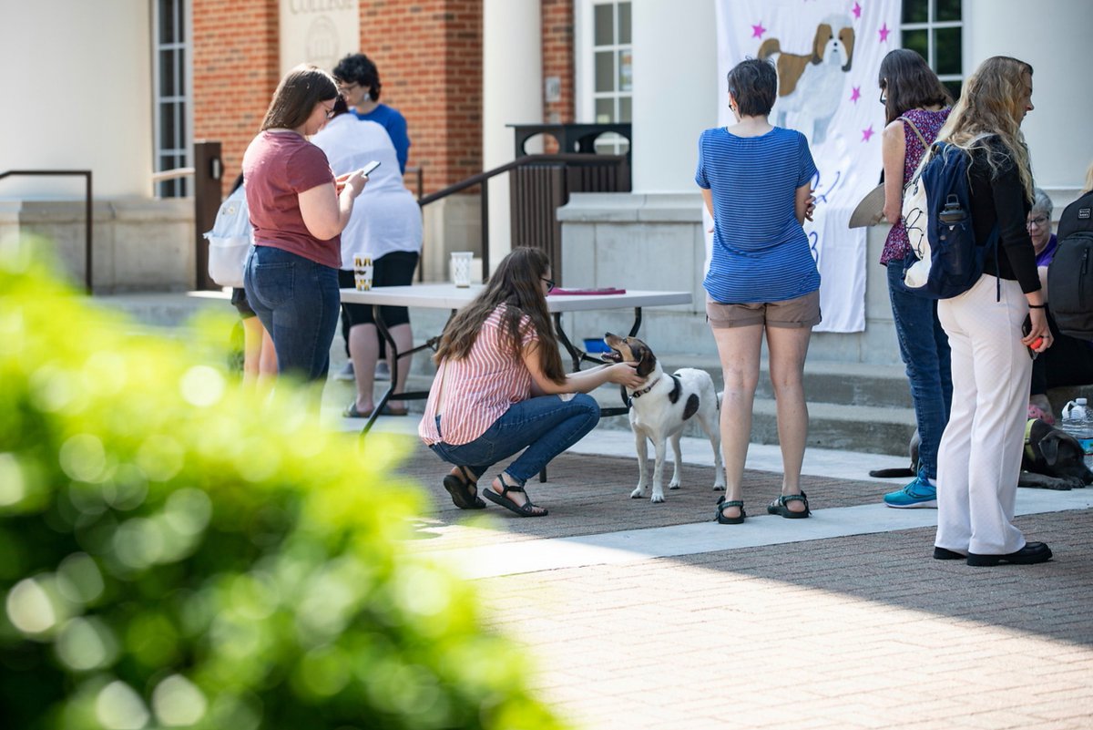 CentreC's tweet photo. What better stress relief on the first day of #finalsweek  than a #dogtherapy session? https://t.co/mWlTGO2bep