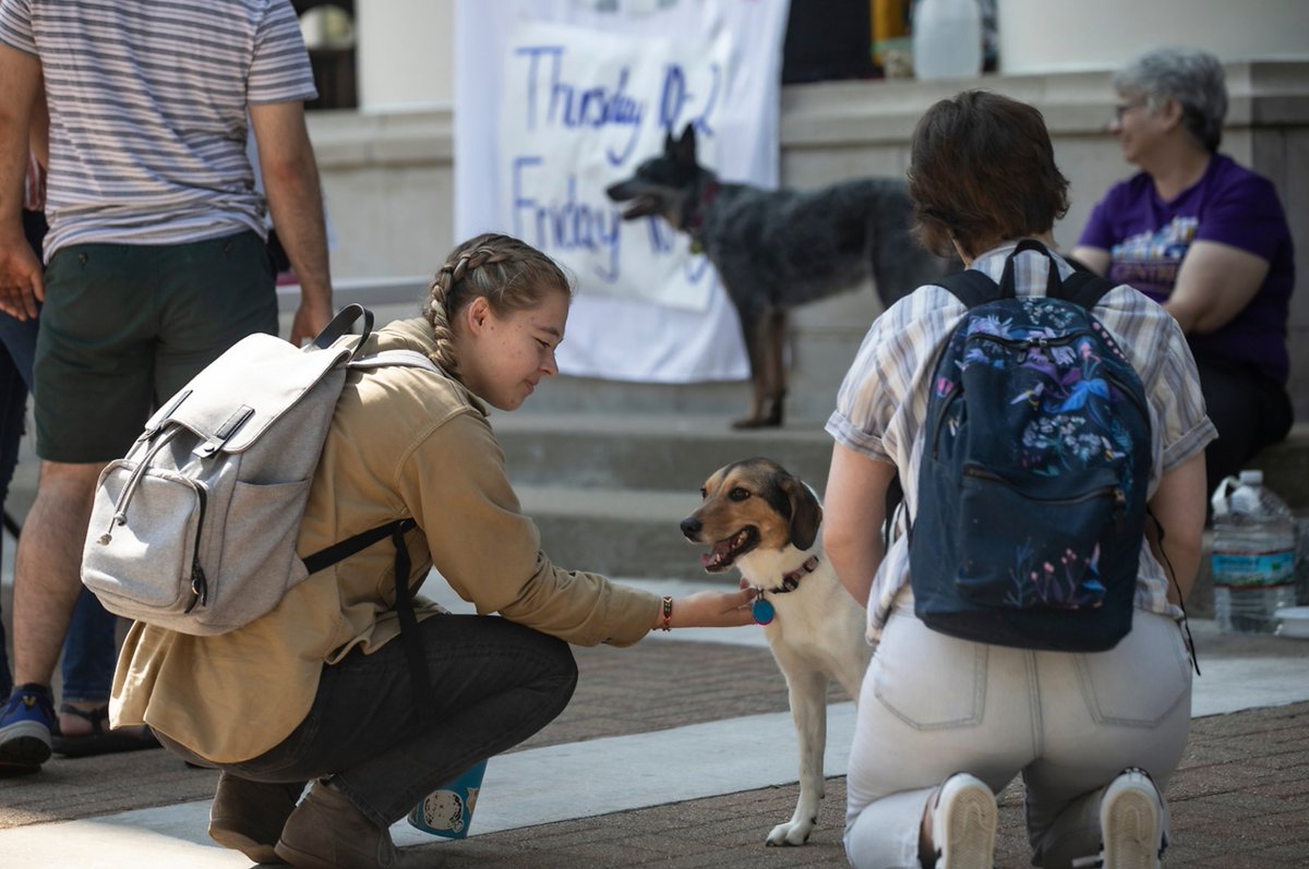 CentreC's tweet photo. What better stress relief on the first day of #finalsweek  than a #dogtherapy session? https://t.co/mWlTGO2bep