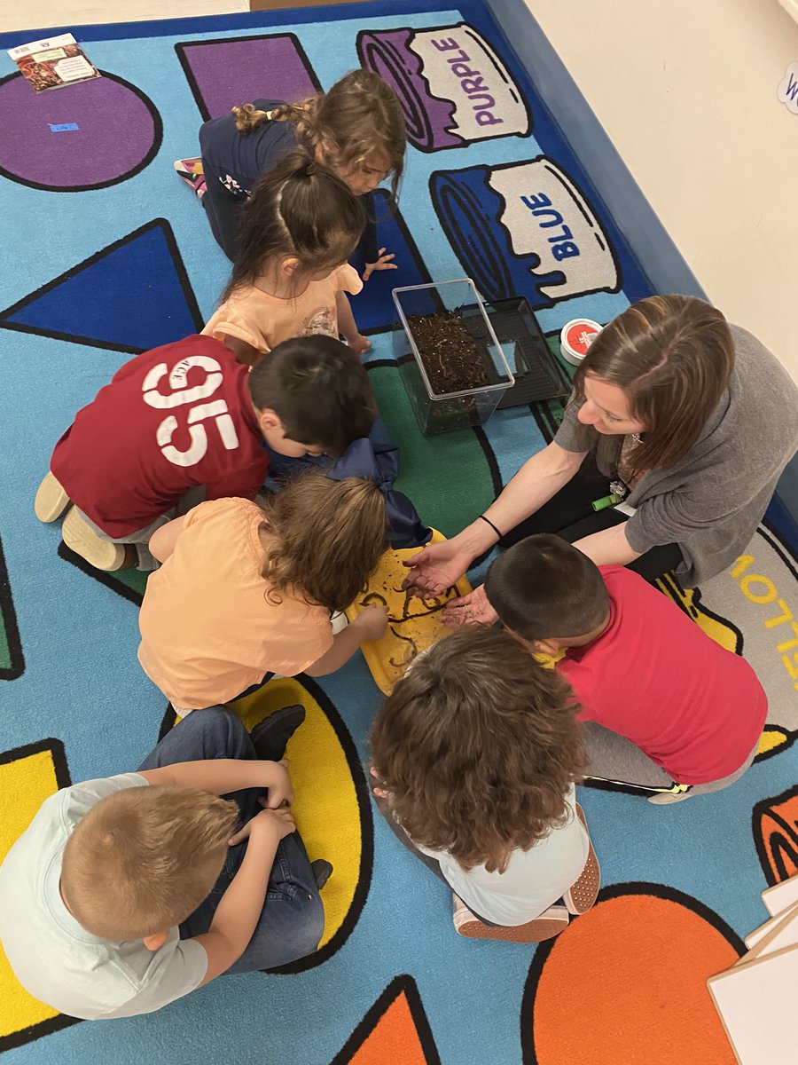 Mrs. Connell tweet media