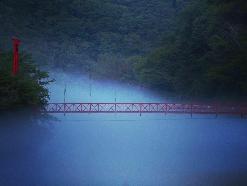 mattake156's tweet photo. 雨上がりの成羽川
立ち込める川霧と真っ赤な阿部山橋
まるでゴールデンゲートブリッジ
#川
#川霧
#橋
#river
#fog
#riverfog
#bridge
#成羽川
#岡山県
#高梁市 https://t.co/U1w8Q56vkS https://t.co/pUebsli8Ir