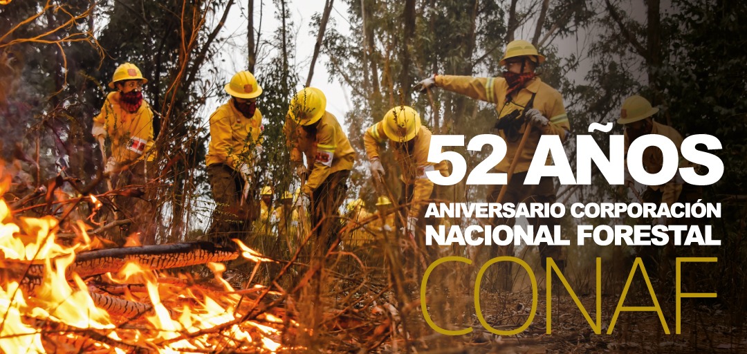 Ejercito_Chile's tweet photo. Hoy entregamos un afectuoso saludo a todo el personal de la Corporación Nacional Forestal en su 52 aniversario y nos comprometemos a seguir apoyándolos en el combate a los incendios forestales con los brigadistas que año a año preparamos en conjunto. 
@conaf_minagri @MinagriCL https://t.co/0gvgDA37aO