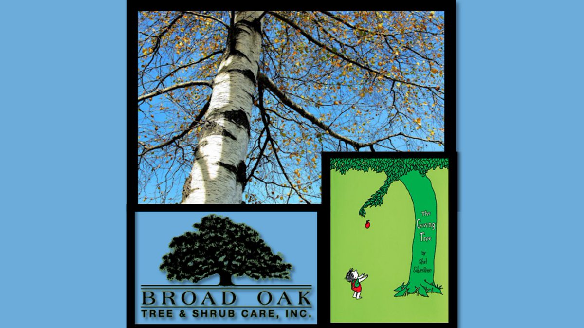 IT'S NOT TOO LATE to join us this Saturday! ITEM SPOTLIGHT: Day of Tree Service! A 2-person, Certified Arborist-led crew for 1 full day of pruning and/or removals. Includes travel within 1 hour of Peterborough and a copy of The Giving Tree. Tickets: app.arts-people.com/index.php?reta… #Gala