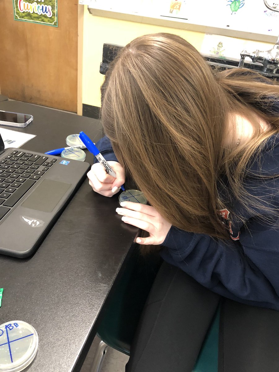 WenWanso's tweet photo. 🧬 Day 3 ✅ Counting Bacteria on our 🧫 @BioRadLifeSci Out of the Blue lab @WTClarkeMS @jmiraglia31 🧫🔵➡️⚪️✅ 🧫🔵➡️🔵✅ #science #bacteria #experiment #CRISPR #analysistime #sciencerocks ❣️ https://t.co/0b91E0sulM