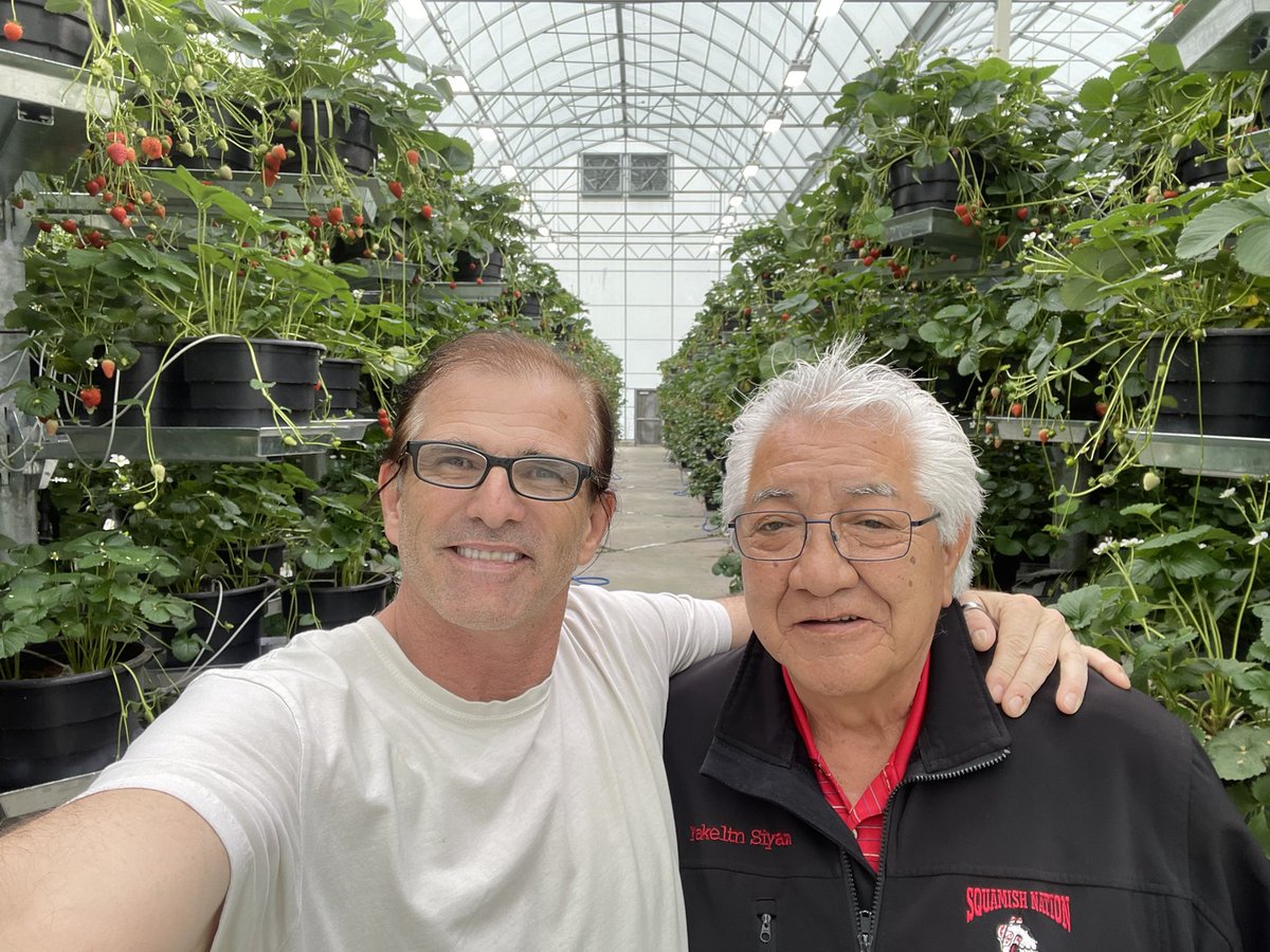 NBrusatore's tweet photo. While Picking Strawberries today,  a very close friend Chief Gibby Jacob showed up to try some strawberries.   I sure hope He liked them !!! #squamish #strawberries #buylocal #bcgrown https://t.co/vL30GTWoy7