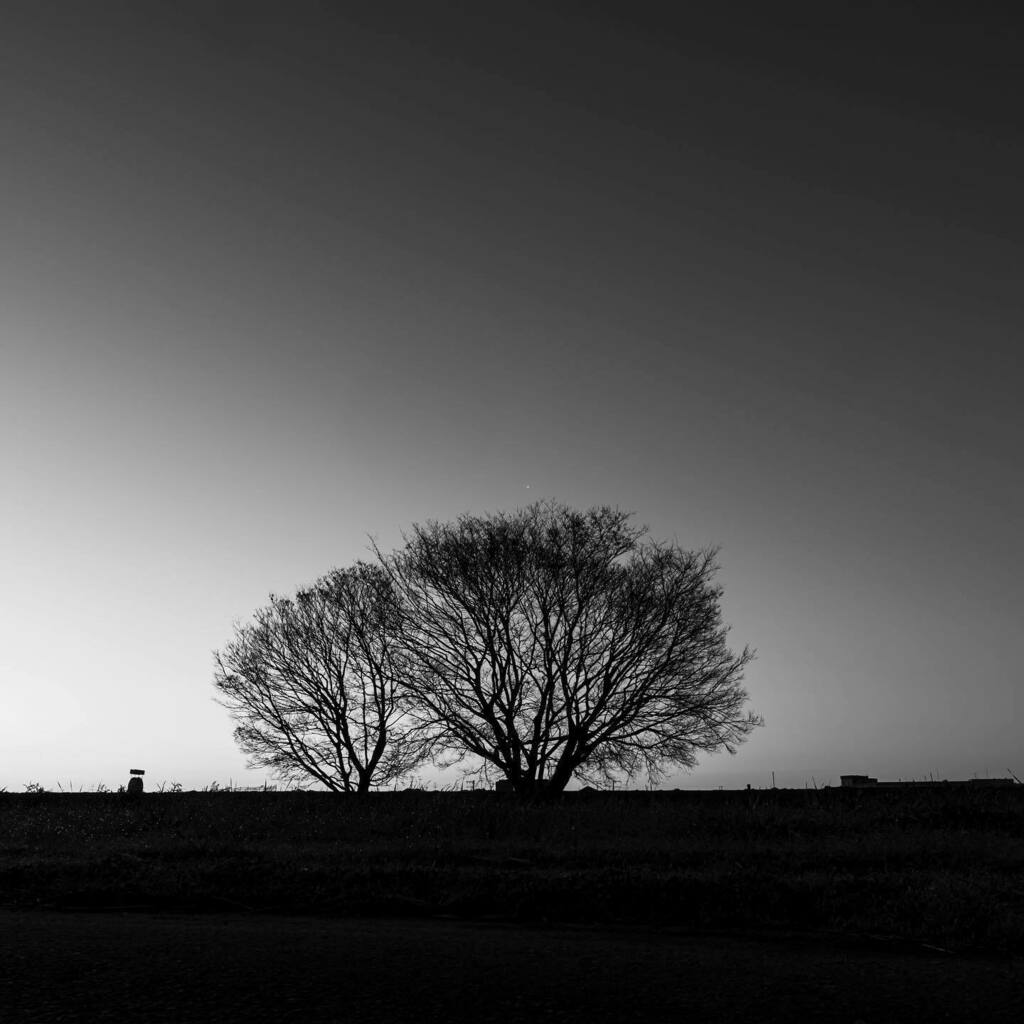 narcis_D's tweet photo. Yodo river 5. 

淀川 五。

#soramimiplus
#snapshot
#moment
#focus
#composition
#capture
#art
#all_shots
#monochrome
#monotone
#blackandwhite
#bnw
#写真好き
#ファインダー越しの私の世界 https://t.co/aR9yZ5WQOv https://t.co/bLK9RTRbpa