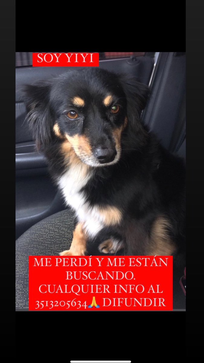 LourdesLadron's tweet photo. La seguimos buscando. Difundir por favor🙏😞 https://t.co/6fjoMzR7w9