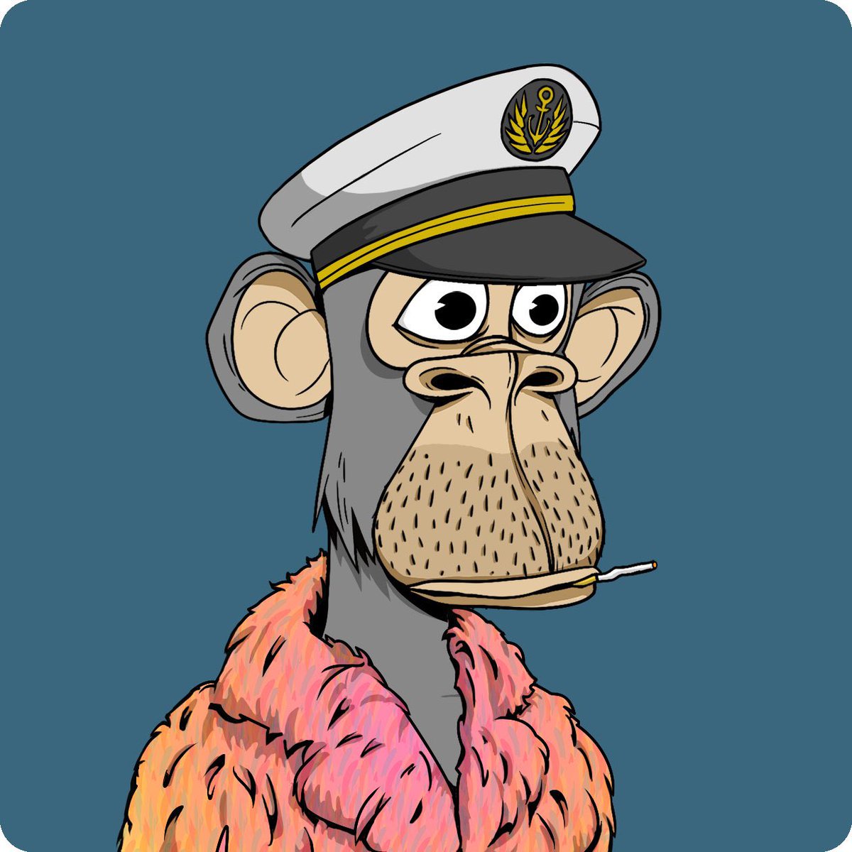 Clawd 🍌 🦍 tweet media