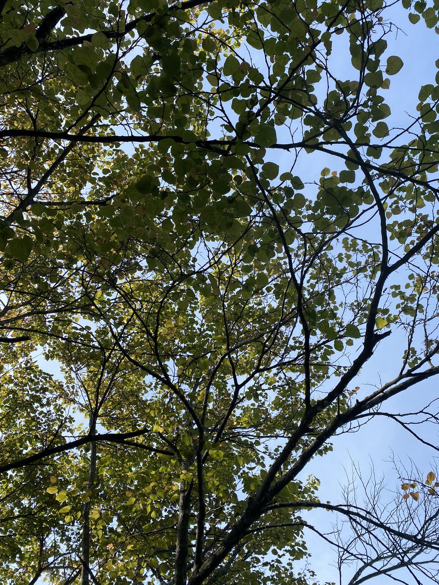 lov2mads's tweet image. gettijg some #FRESHSPRING AIR