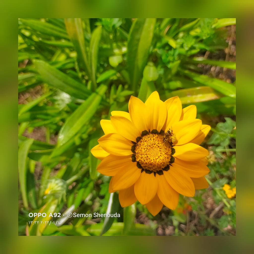 #صورة_ملف_شخصي_جديدة