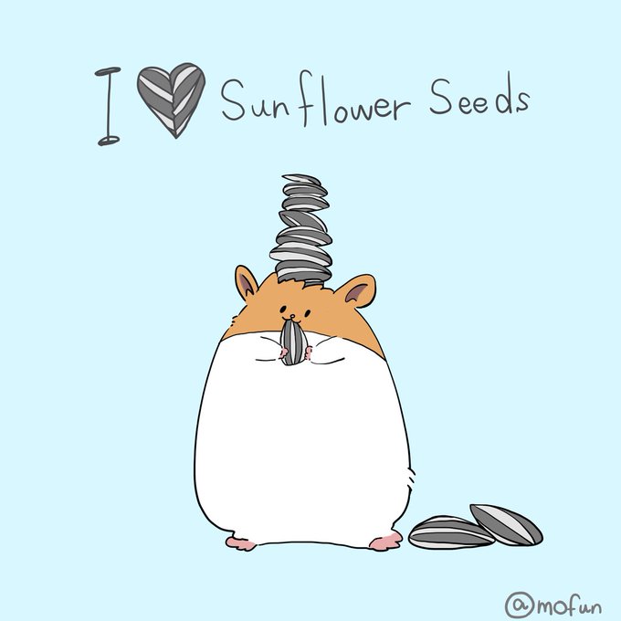 ひまわりの種のtwitterイラスト検索結果