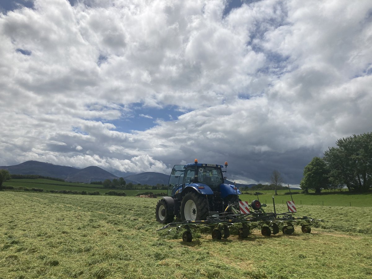 SeanODo53828850's tweet photo. #tedding #newholland #fendt #silage #2022 https://t.co/IpRcBakIak