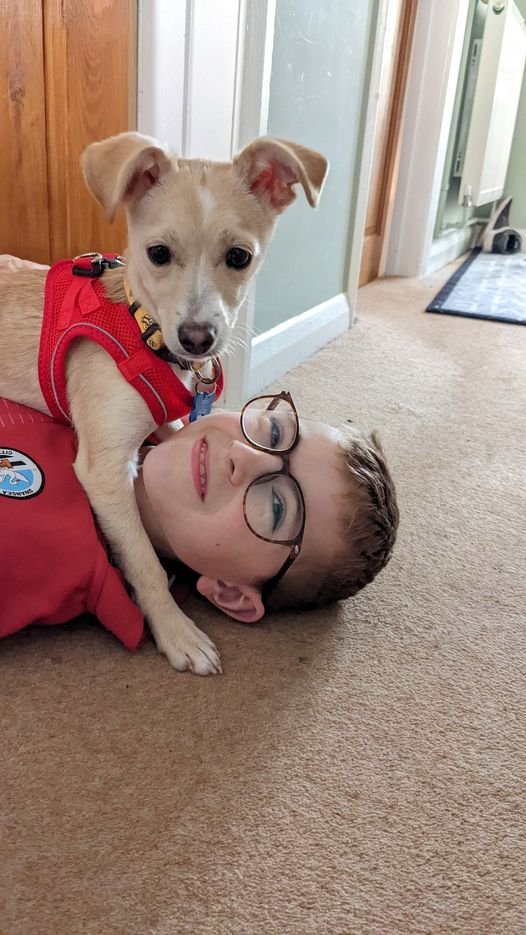 CdLSUKIreland's tweet photo. Awareness is getting CdLS more widely known among medical professionals which would equal earlier diagnosis.
https://t.co/UWhKTjOP4U
'Meet Evan, he's 14 and in year 9 at his local comprehensive school, in which he accesses most of his education via the ALN unit'
#cdlsawareness https://t.co/4qVcvASbpL