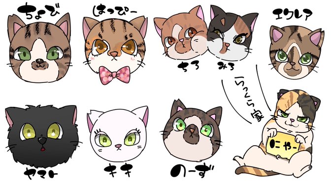 猫たちのtwitterイラスト検索結果