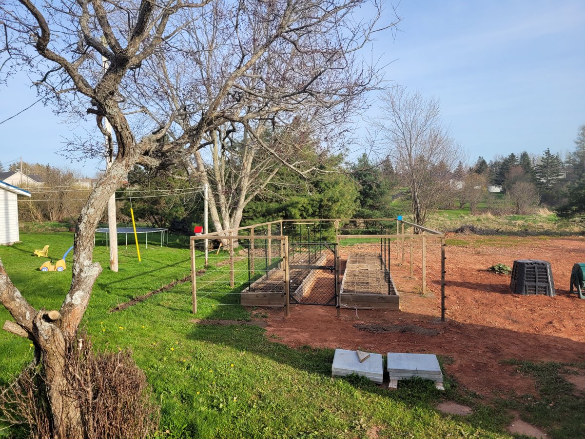 Craig Smith tweet media