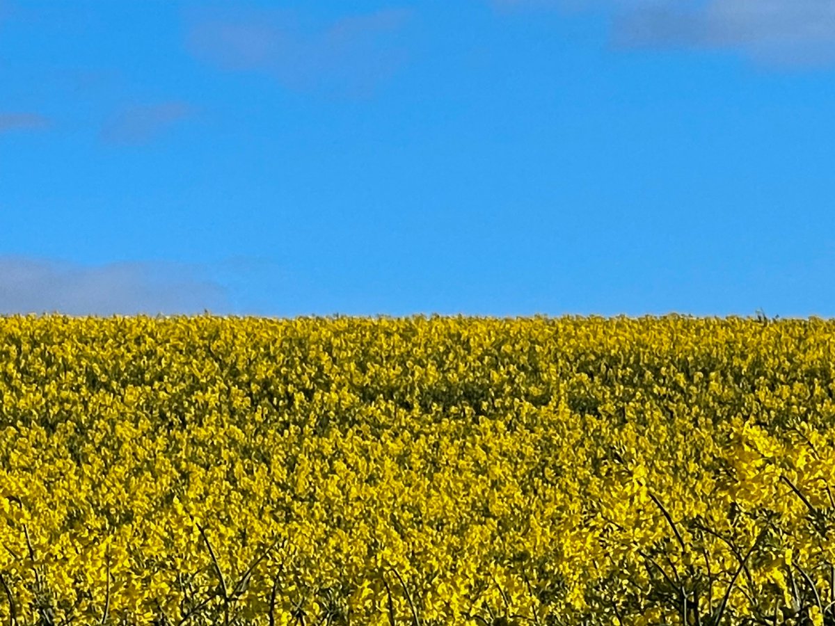 Malcolm Bell tweet media