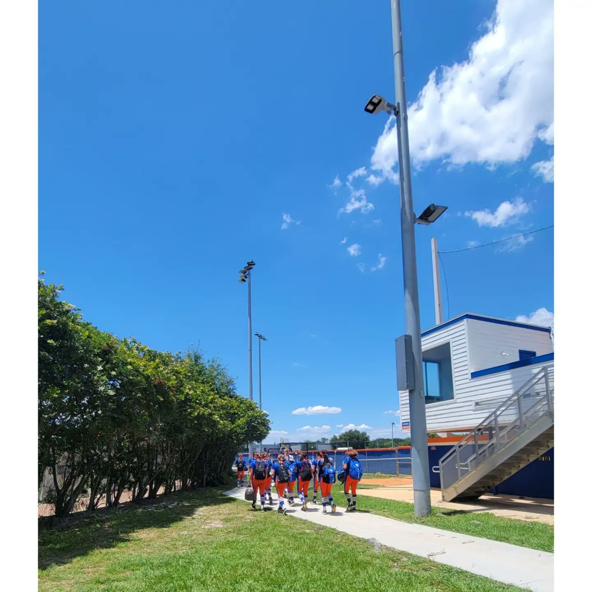 West Orange Softball tweet media