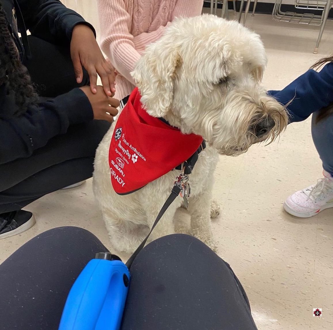 SJA Toronto Region tweet media