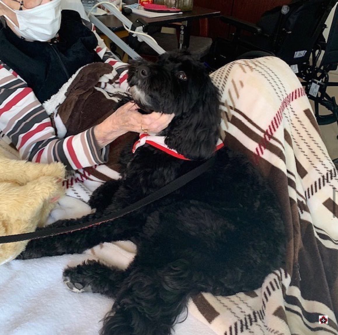 SJA Toronto Region tweet media