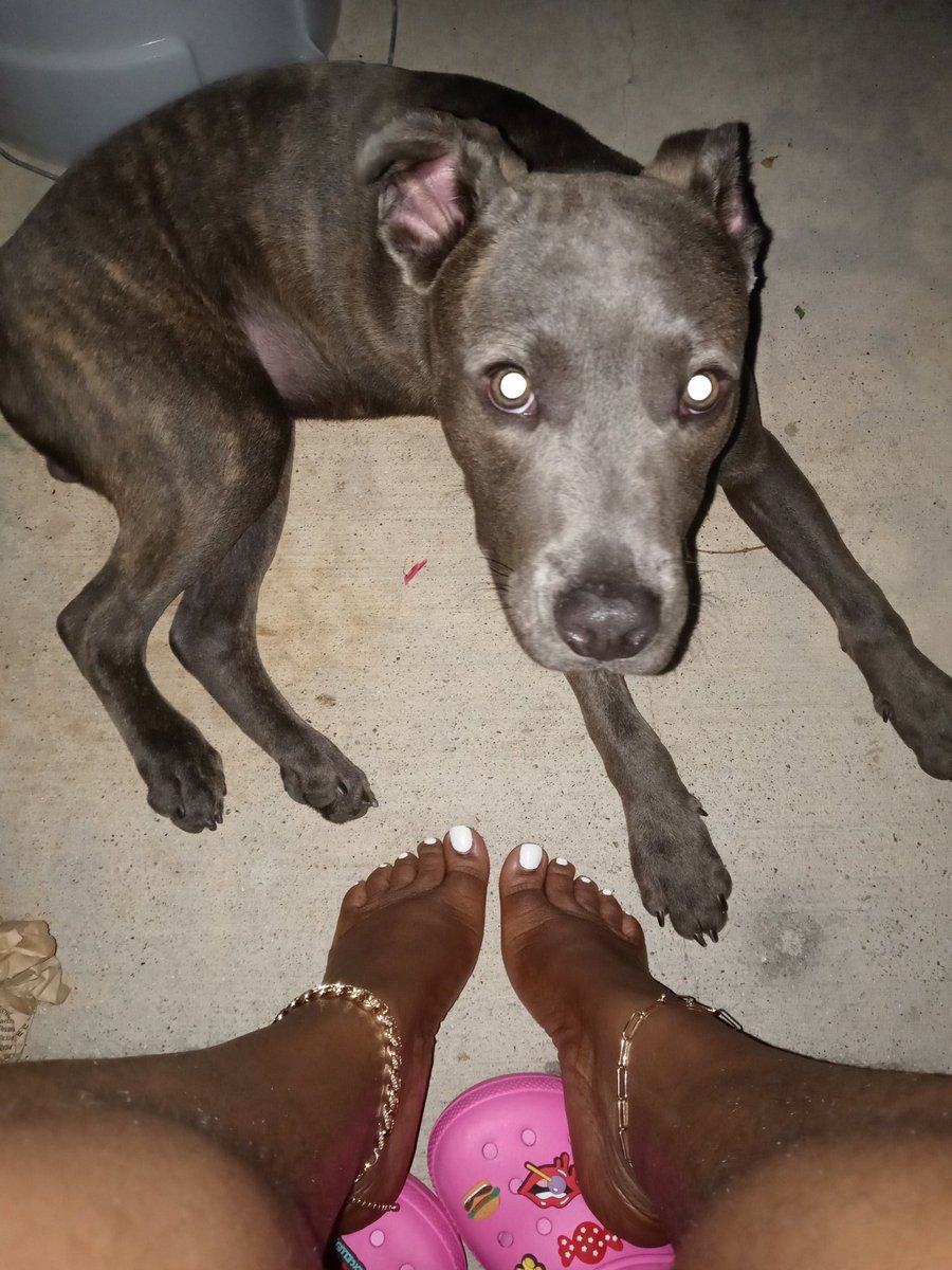tubesockzz's tweet photo. I was taking a picture of the puppy 😂...but got a nice shot of my feet...What they say "White toes for the Hoes!" 😂🤣😂 https://t.co/w8zpqTLkFw