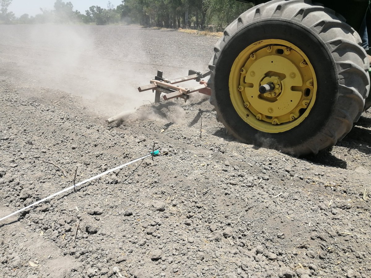 JorgeMa18962354's tweet photo. Comentarles que se sigue con el acondicionamiento del Área de Extensión El Sifón en Ocotlan Jal, después de nivelación se conforman camas a 152 cm con equipo proporcionado por CIMMYT para partir de año cero, se cuenta con análisis de suelo: pH 6.88, CE: 0.55, CIC: 21.8 me/100g. https://t.co/KTxu6sss7s