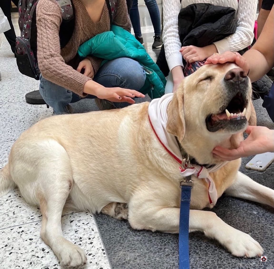 SJA Toronto Region tweet media