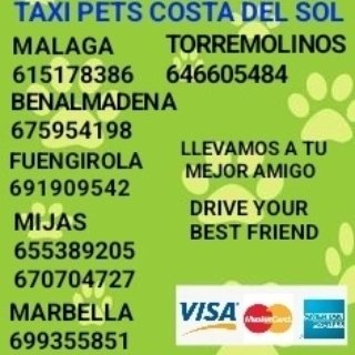 TaxiPetsSpain's tweet photo. El primer #Viaje de #Leonardo con #TaxiPets en #Málaga con nuestro #Compañero #Paco 
Seguimos 
#LlevandoMascotas
#SinSuplemento
#PreciosRegulados por
@FomentoAND en #Andalucia
#NoCompresAdopta https://t.co/fJ04h2j9X1
