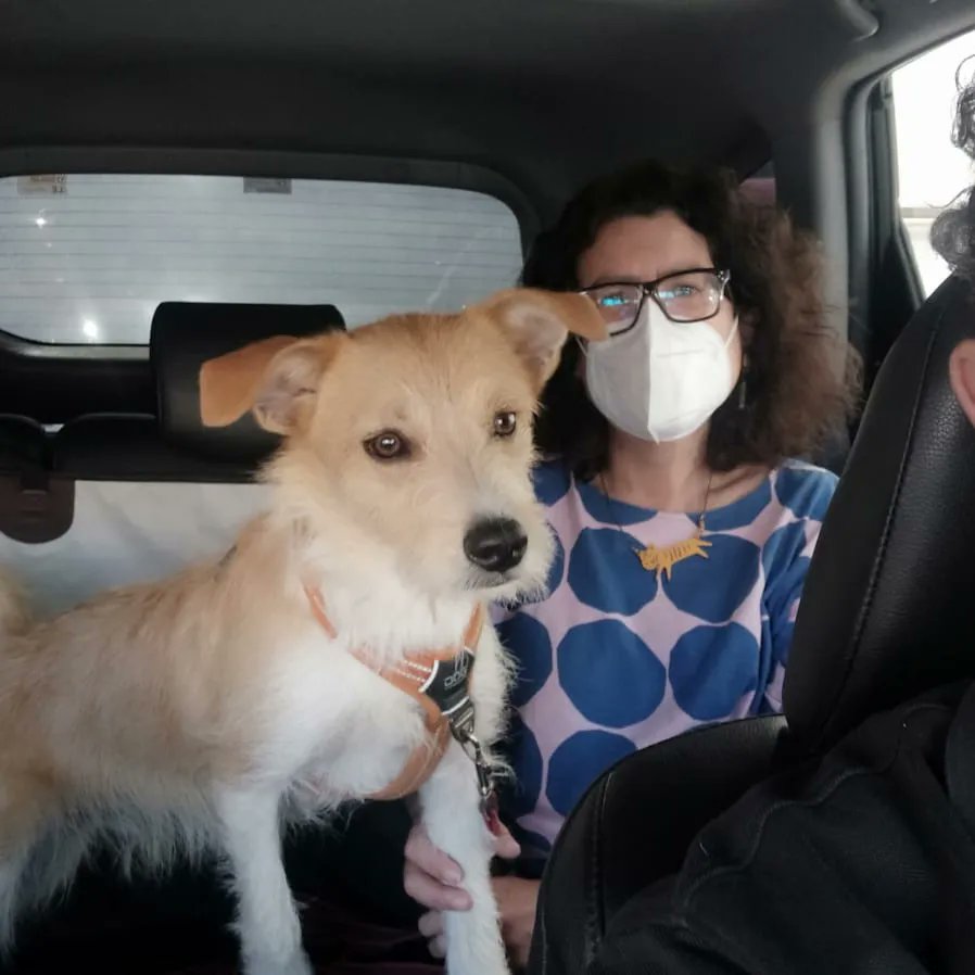TaxiPetsSpain's tweet photo. El primer #Viaje de #Leonardo con #TaxiPets en #Málaga con nuestro #Compañero #Paco 
Seguimos 
#LlevandoMascotas
#SinSuplemento
#PreciosRegulados por
@FomentoAND en #Andalucia
#NoCompresAdopta https://t.co/fJ04h2j9X1