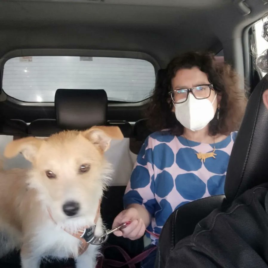 TaxiPetsSpain's tweet photo. El primer #Viaje de #Leonardo con #TaxiPets en #Málaga con nuestro #Compañero #Paco 
Seguimos 
#LlevandoMascotas
#SinSuplemento
#PreciosRegulados por
@FomentoAND en #Andalucia
#NoCompresAdopta https://t.co/fJ04h2j9X1