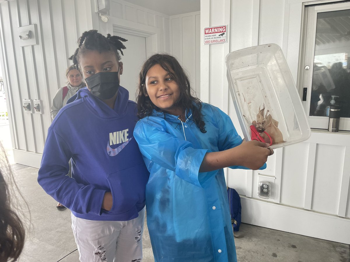 NES 4th-Grade tweet media