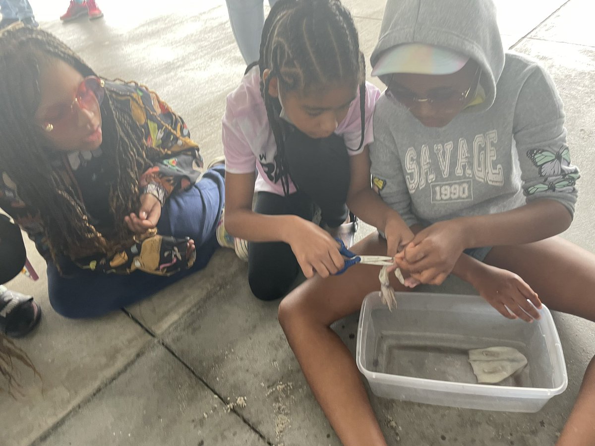 NES 4th-Grade tweet media