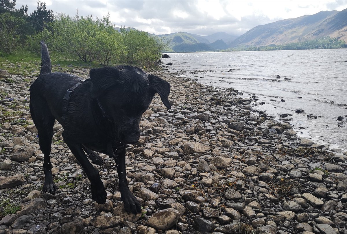 drinksnotea's tweet photo. Took a big detour and visited Borrowdale today. Took inspiration from #featurecumbria https://t.co/aTCp4qOp5V
