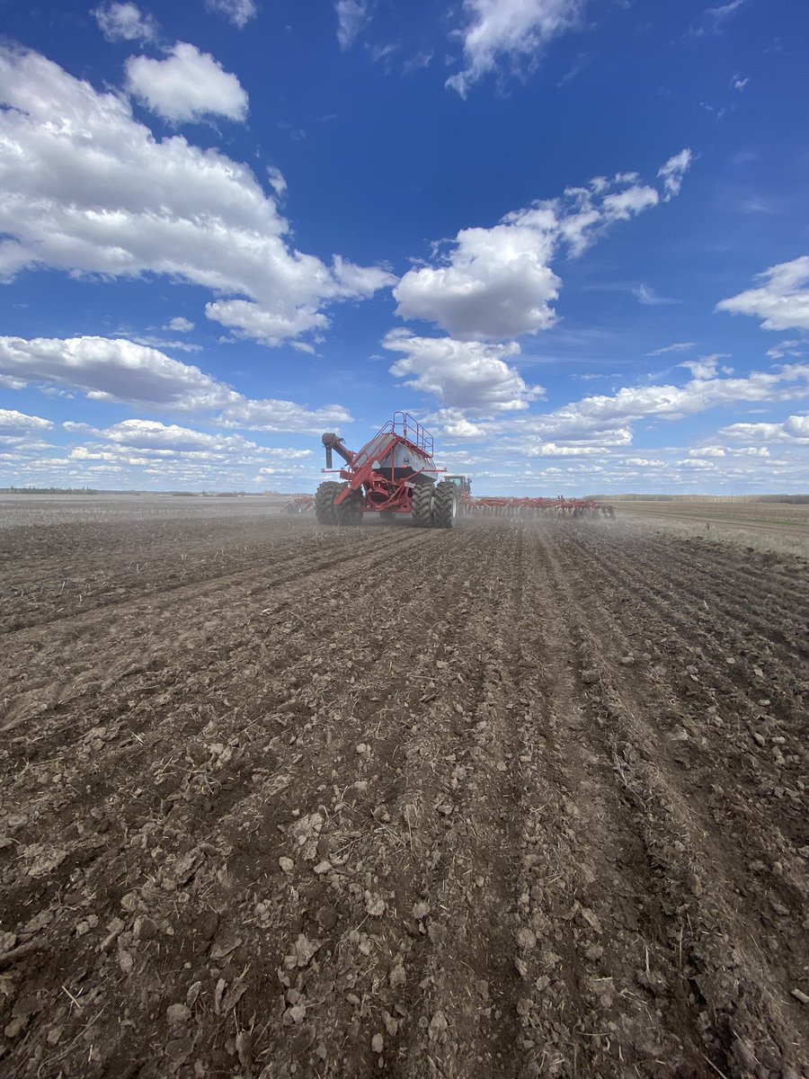 KurtWinny's tweet photo. @SeCan Starbuck Wheat also going in to the north of you today @SeCanLauren @TJW7777 @dsolson100 https://t.co/lAwanYLvyD