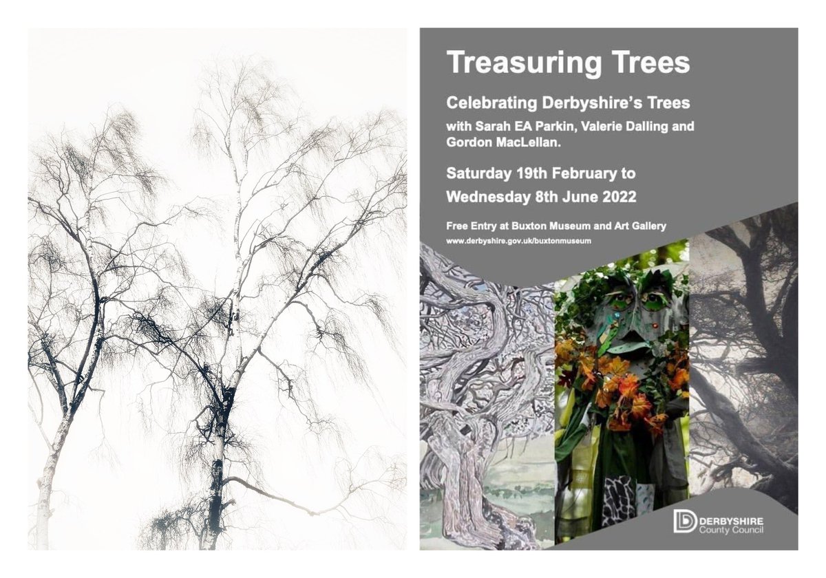 valeriedalling's tweet photo. I had a lovely call this week from a lady who enjoyed @TreasuringTrees so much she’s been back to wander through our gallery woodland for a 2nd time. An informative exhibition but also a space in which to feel relaxed. On until 8th June @BuxtonMuseum #health #wellbeing #trees 🌳 https://t.co/maYwazuwDo
