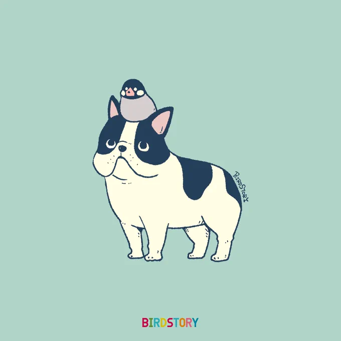 おはようございます。
本日は5月13日、愛犬の日とのことです🐶
#BIRDSTORY 
#愛犬の日 