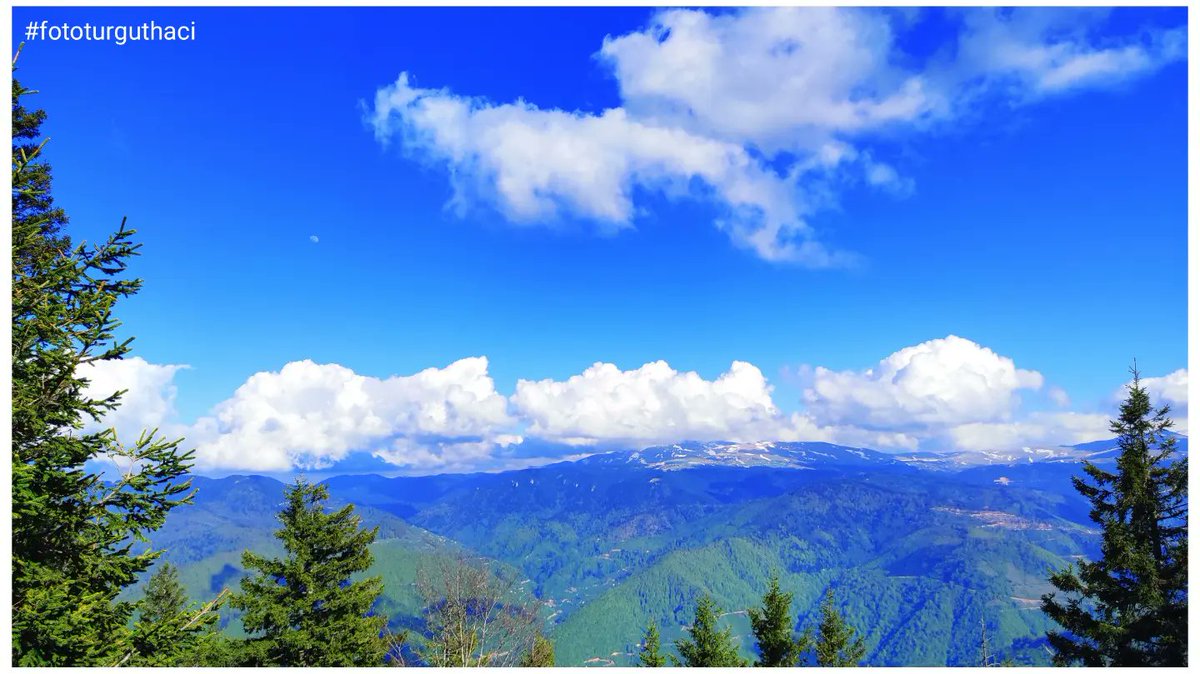 fototurguthaci's tweet photo. Yaylaların paşası
Paşakonağı
#bufosev #fototurguthaci #Paşakonağı
#yansımalar28 #giresun #bulancak 
#bahar #bulancakgram #bulancaksevdalısı #fotoBulancak #fotoğraf  #fotoğrafsanatı #karadeniz  #yansımalar #doğadahayatvar #trtbelgesel #türkiye #turguthacınoğmanoğlu #gezfod https://t.co/NYZrRuDmkf