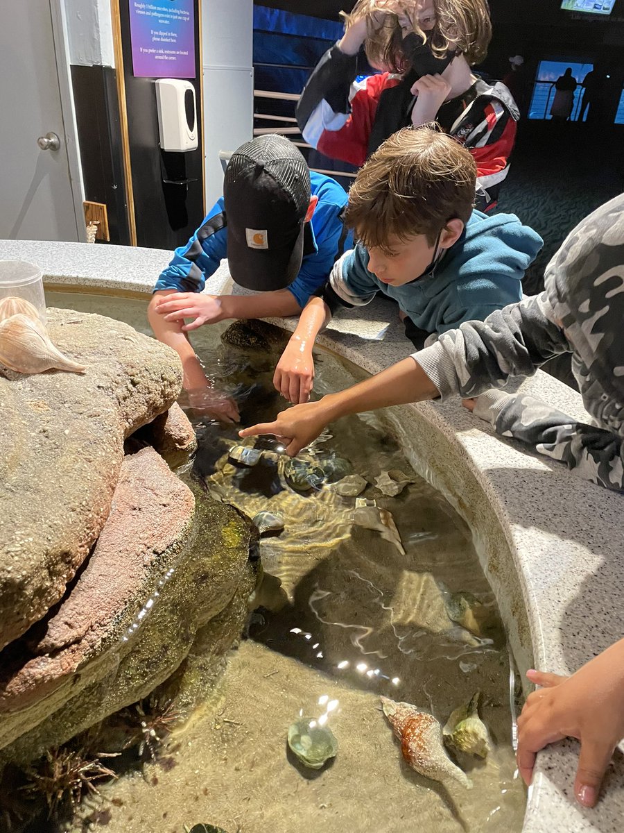 Kathryn Cole tweet media