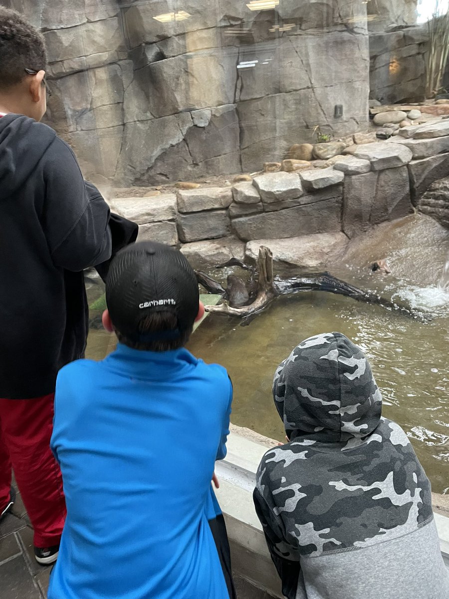 Kathryn Cole tweet media