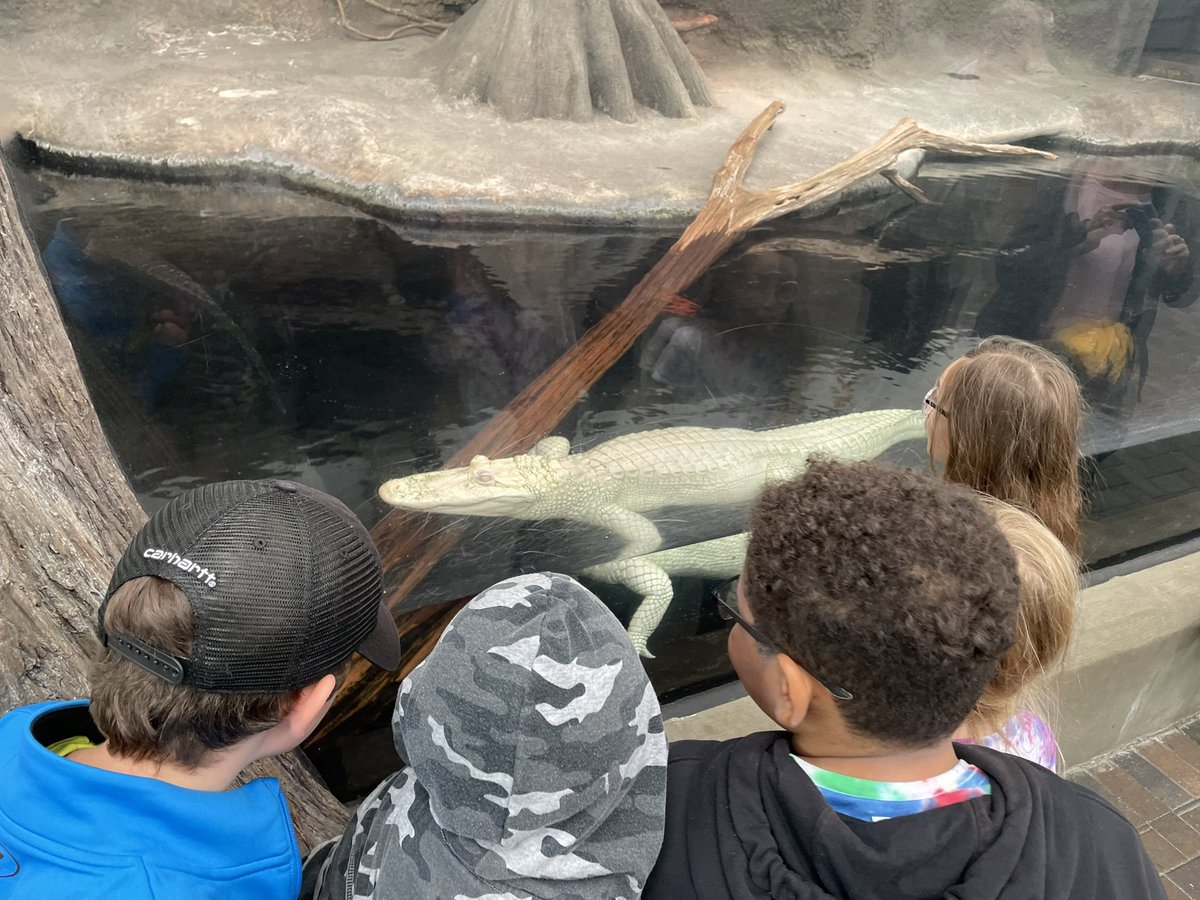 So many wonderful moments, despite the weather. <a href="/NCAquariumFF/">NC Aquarium at FF</a> #BeachTrip22 <a href="/NorthsideES/">Northside Elementary</a> <a href="/4thNes/">NES 4th-Grade</a>