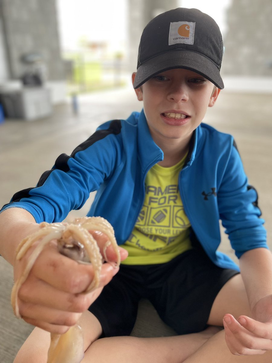 Kathryn Cole tweet media