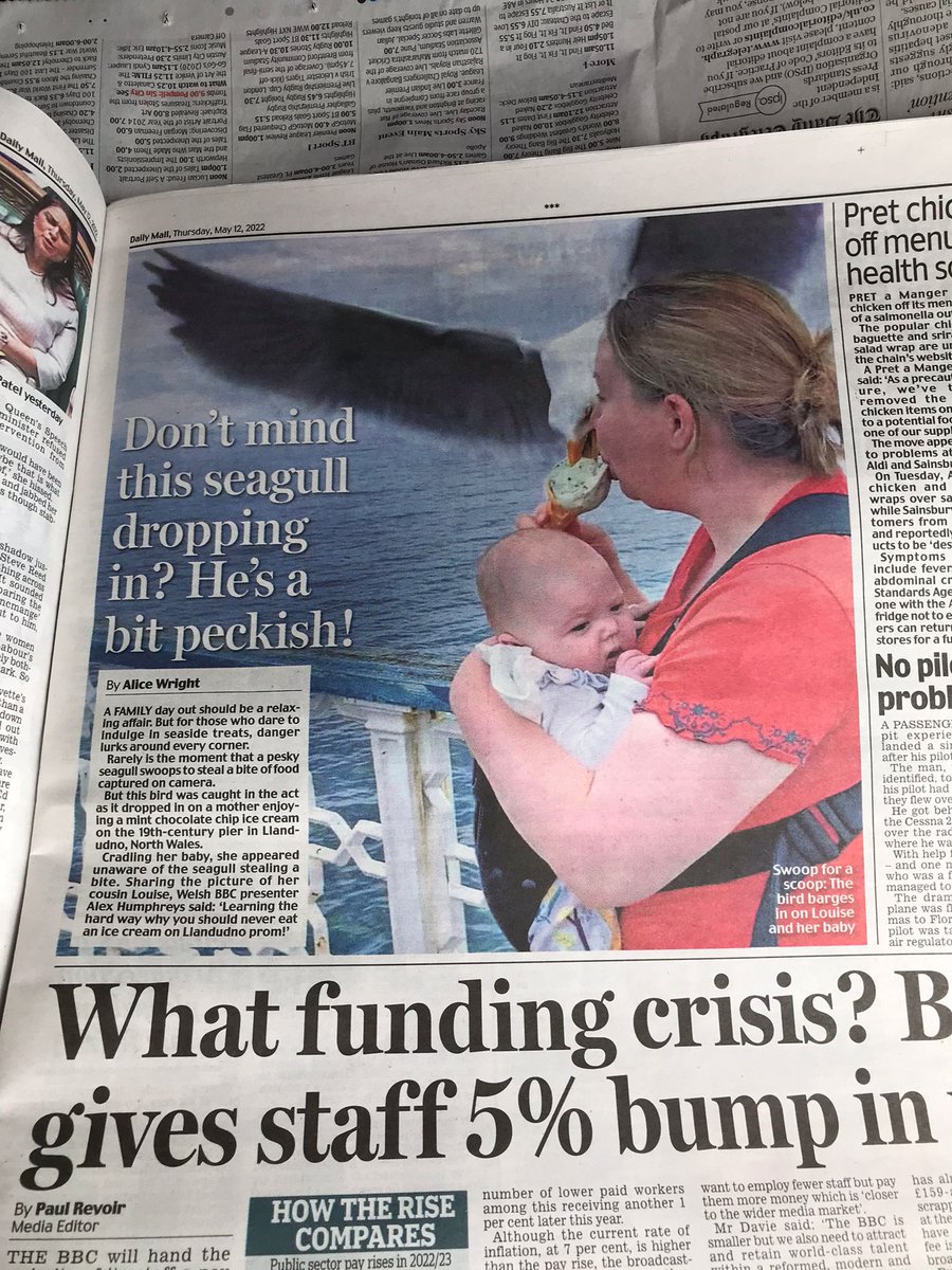 allyhumphreys's tweet photo. Well, the photo I posted of Louise and the seagull did well. So well, it somehow made it into the Daily Mail and @MailOnline. It would have been nice had the journalist asked permission first, though. Or at least, who to credit. 🤷‍♀️ https://t.co/U3srwQzTES