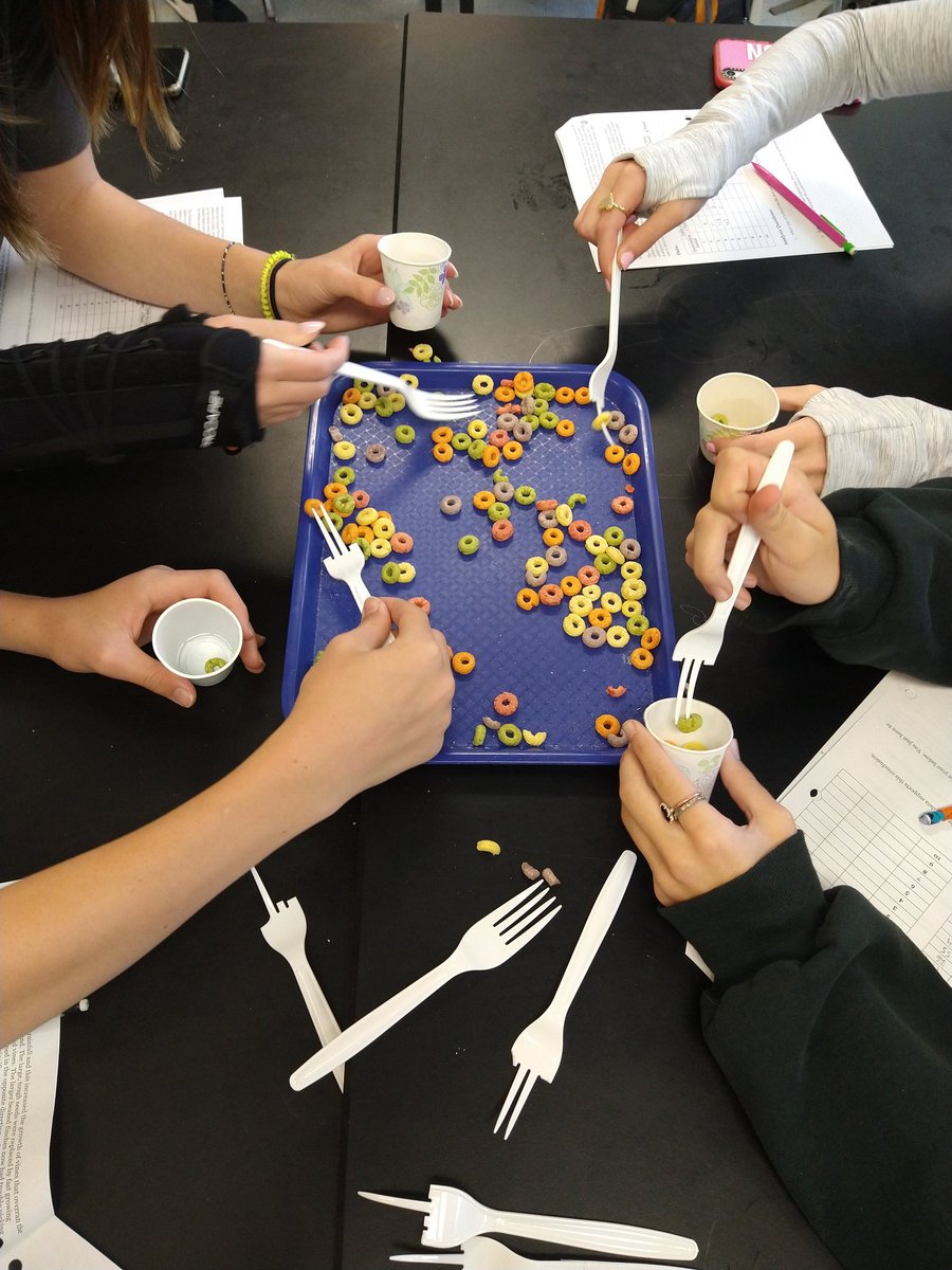 larucker2's tweet photo. Natural Selection at its best! Students acted as finches and had to adapt to eating the "seeds" depending on the forkbird they were given. Competition was most definitely a factor with this lab 😆
@oberlinmiddle https://t.co/ViVDyvZz99
