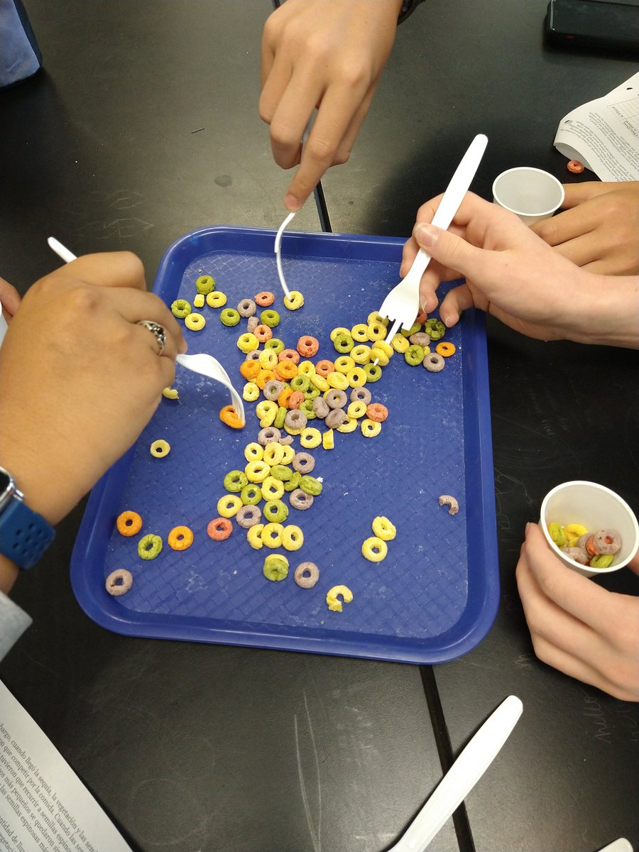 larucker2's tweet photo. Natural Selection at its best! Students acted as finches and had to adapt to eating the "seeds" depending on the forkbird they were given. Competition was most definitely a factor with this lab 😆
@oberlinmiddle https://t.co/ViVDyvZz99