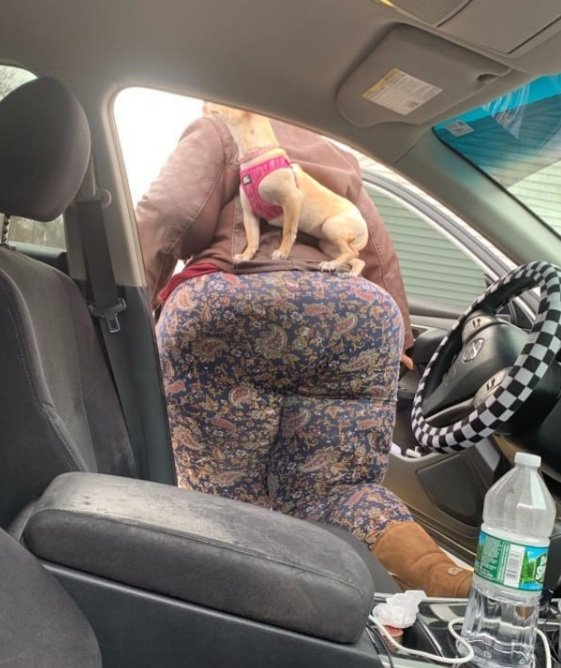 **THROWBACK** Lol all I did was get out the car smh 😳😳🙄🙄🤦‍♀️🤦‍♀️😁😁 https://t.co/OKK8PD9cFh