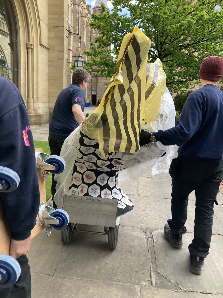 KarenBrackenri3's tweet photo. @McrMuseum Workshop Team all hands on 👏to help transport our Artist in Residence @LucyBurscough’s #DabHands artwork to our loading bay!  👍#ManyHandsMakeLightWork #HelpingHands #TeamMM #ExpertColleagues 👇 https://t.co/PlGkulJv6d