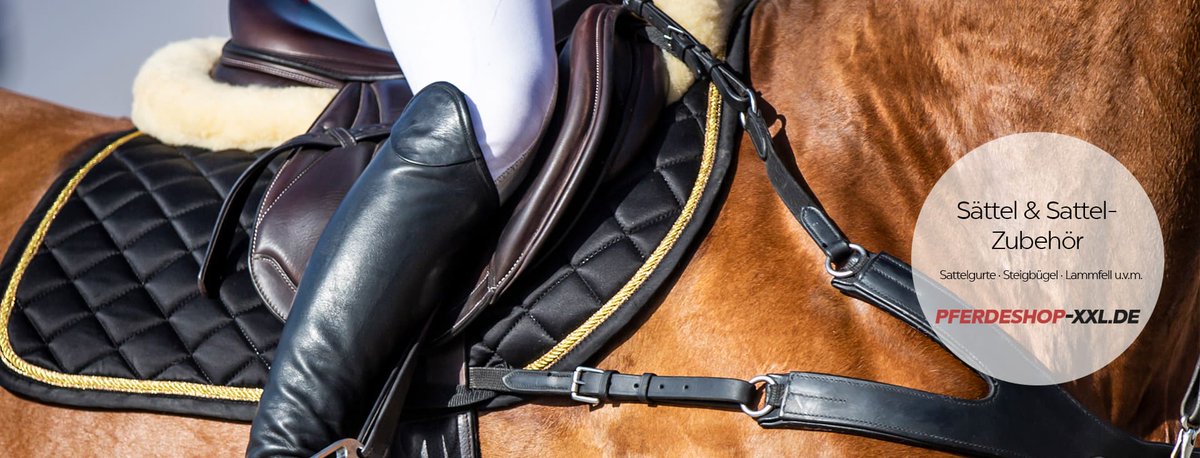 The Singularity Welcoming Party tweet media