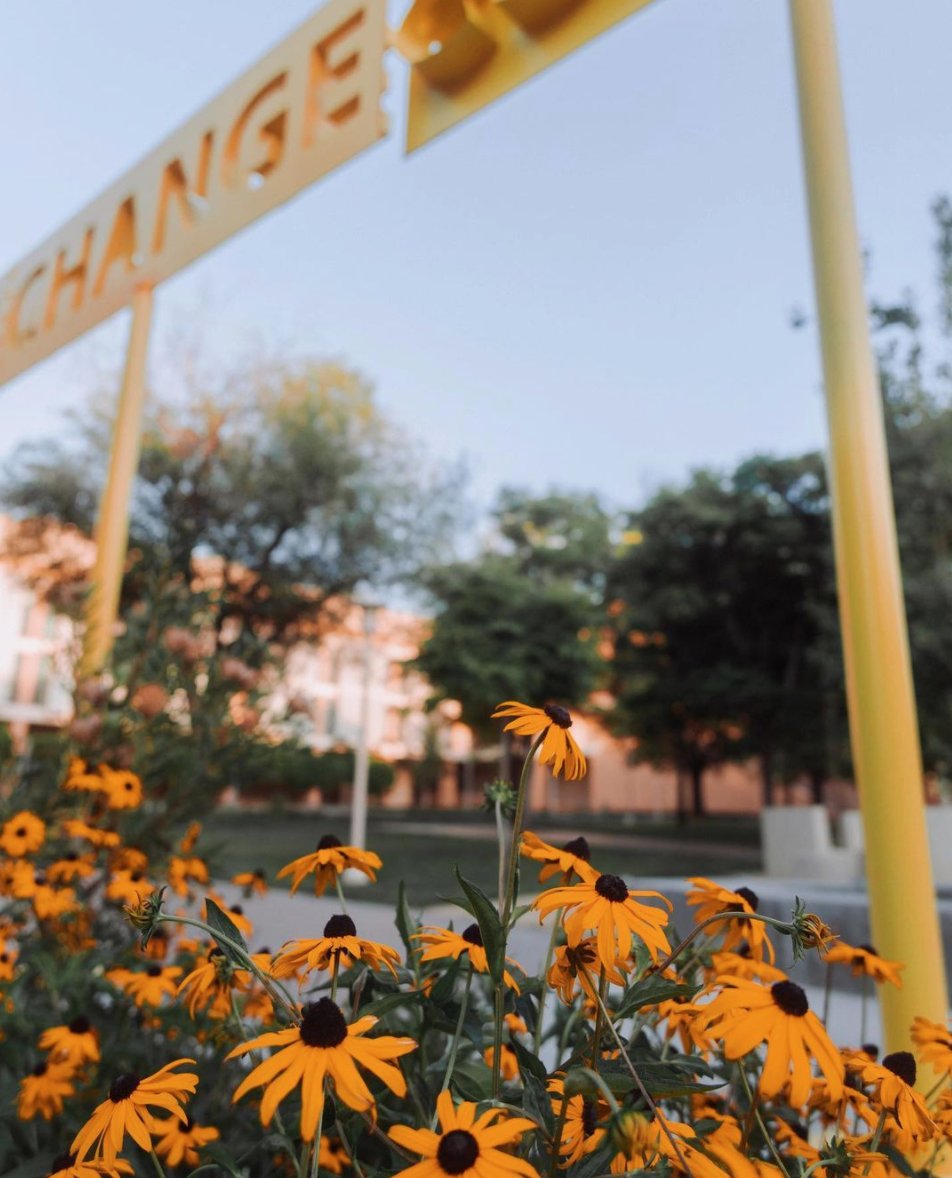 No matter how your week is going... we hope these flowers make you smile. Drop a 😀 if they did! #UCR #UCRiverside

📷: <a href="/ucrchass/">UCR CHASS</a>